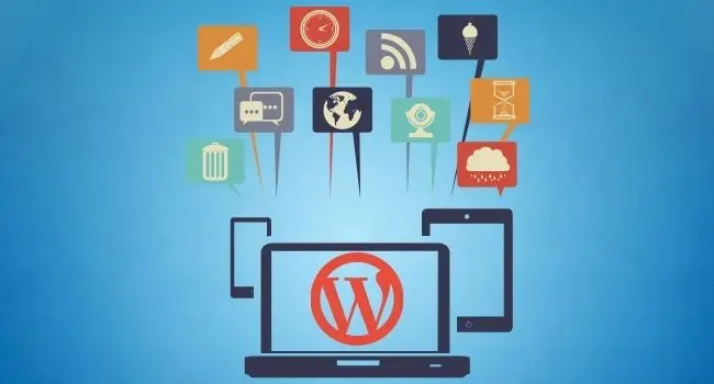 WordPress Widget Development