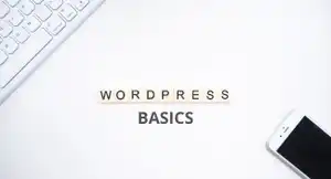 WordPress Website Basics.